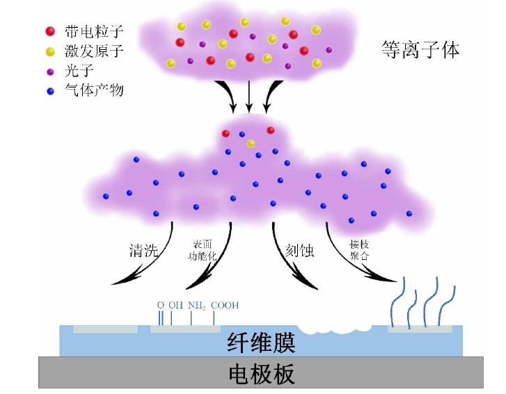 等离子体改性聚丙烯纤维膜作用机制示意图