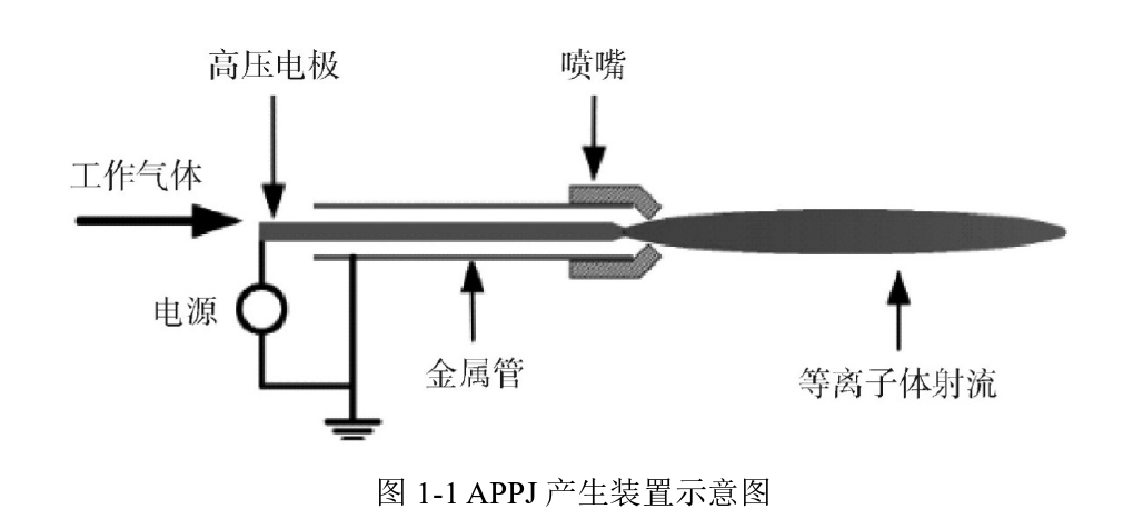 APPJ产生装置示意图 