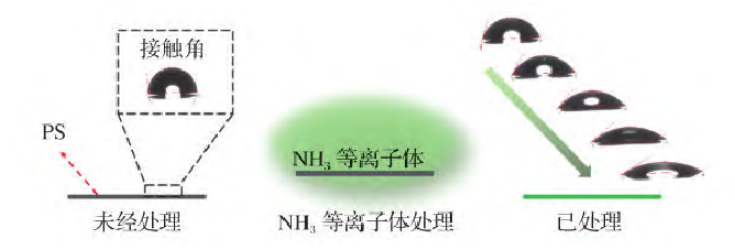 PS的氨气等离子处理过程及可控亲水改性示意图