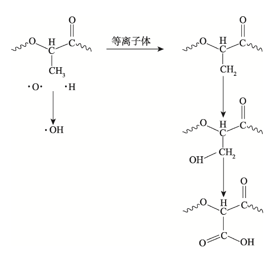 P L A膜表面等离子体处理机理