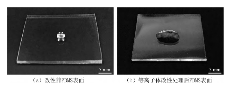 PDMS基片氧等离子处理前后水滴角对比