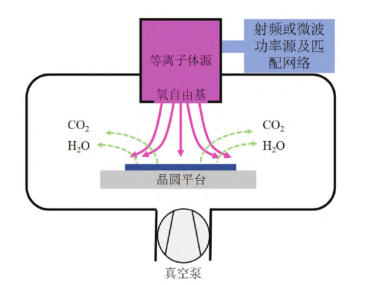 图1 氧等离子体灰化工艺过程