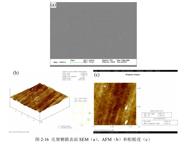 图3-1 壳聚糖膜表面SEM(a)、AFM(b)和粗糙度(c) 