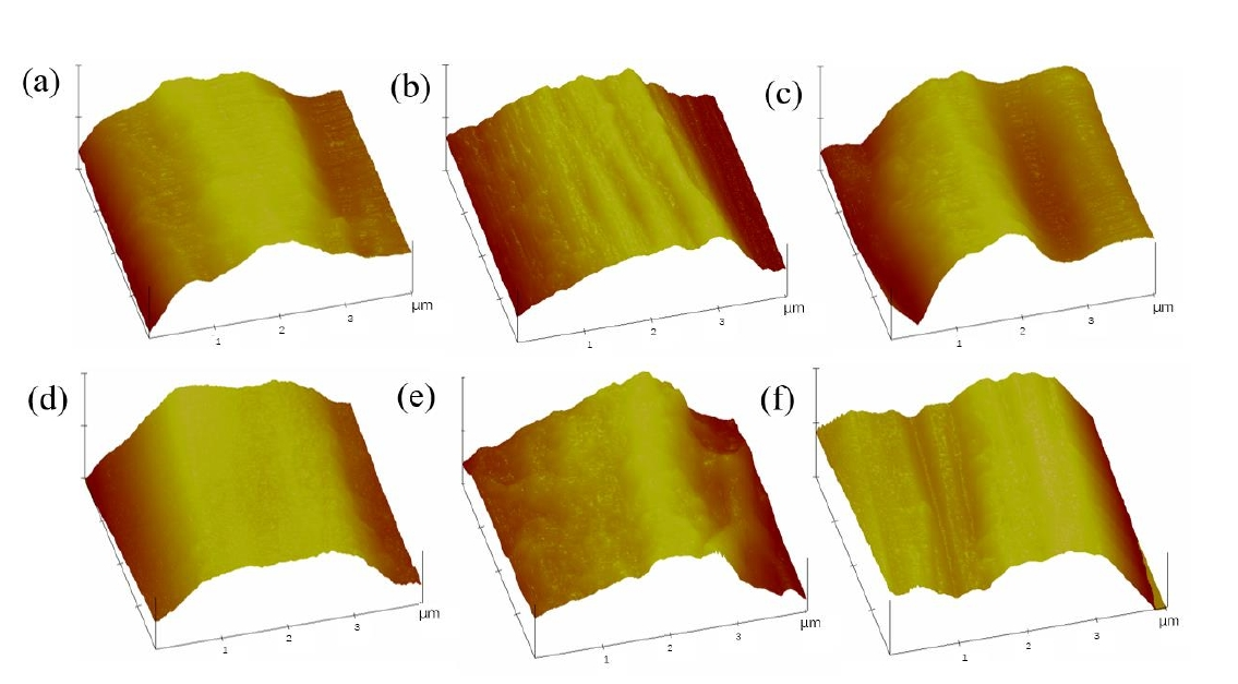 图5 不同处理时间下的AFM图像 (a) 5min (b) 10min (c) 15min (d) 20 min (e) 25 min (f) 30min  