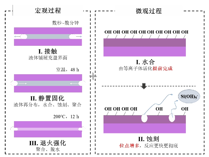  图2 等离子体活化对玻璃氢氧催化键合工艺影响的示意图 