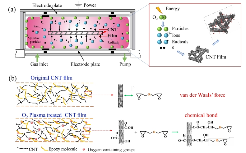 图 1(a)氧等离子体改性CNTs薄膜机理示意图,(b)含氧基团增强CNTs和树脂间界面结合 机制原理图 