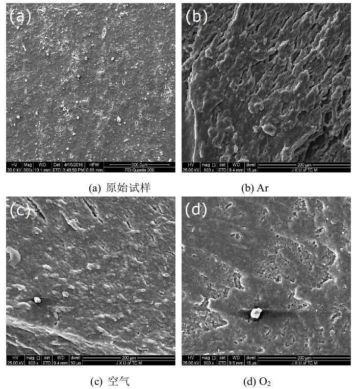 图1  冷等离子体处理前后氟橡胶的表面形貌