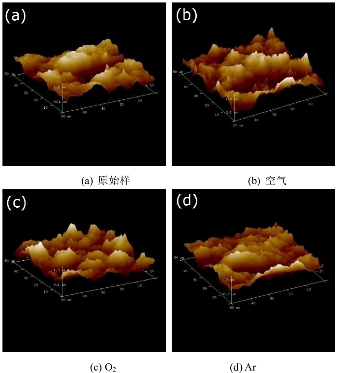 图2  冷等离子处理前后氟橡胶表面三维形貌 