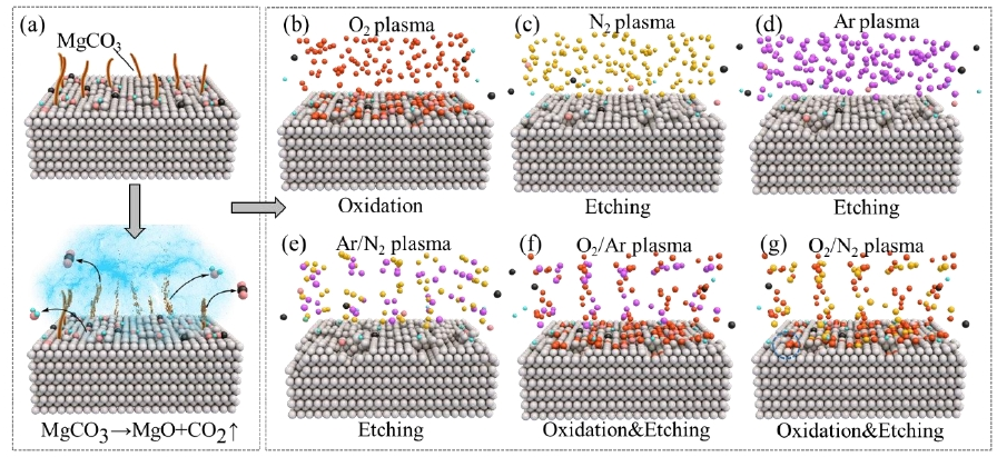 不同等离子体对镁合金表面的作用