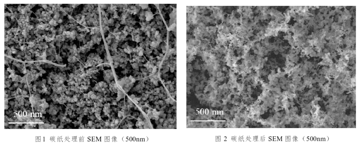 碳纸等离子体处理前后SEM图像