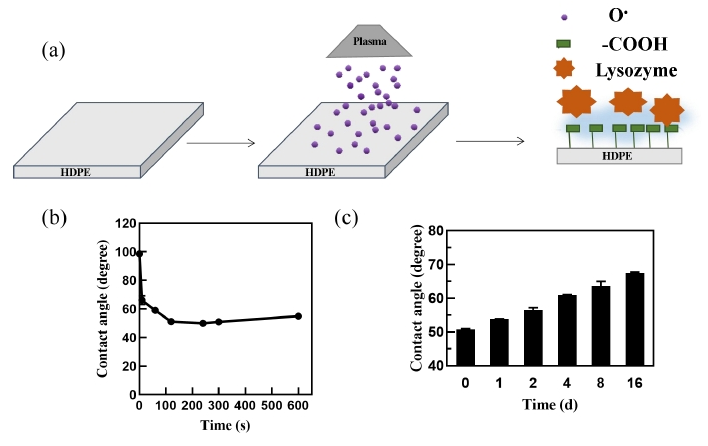 图1 a)等离子体活化示意图;b)等离子体处理时间与接触角的关系;c)等离子体活化后接触角随时间 的变化