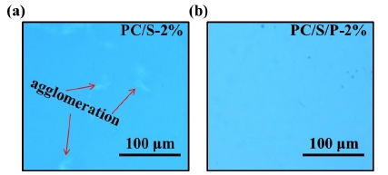 图1 PC基底有无等离子体处理的有机硅膜层的表面形貌 
