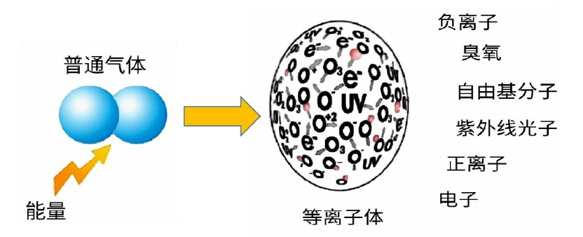 图1 等离子体组分示意图 