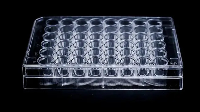 细胞培养皿等离子亲水处理