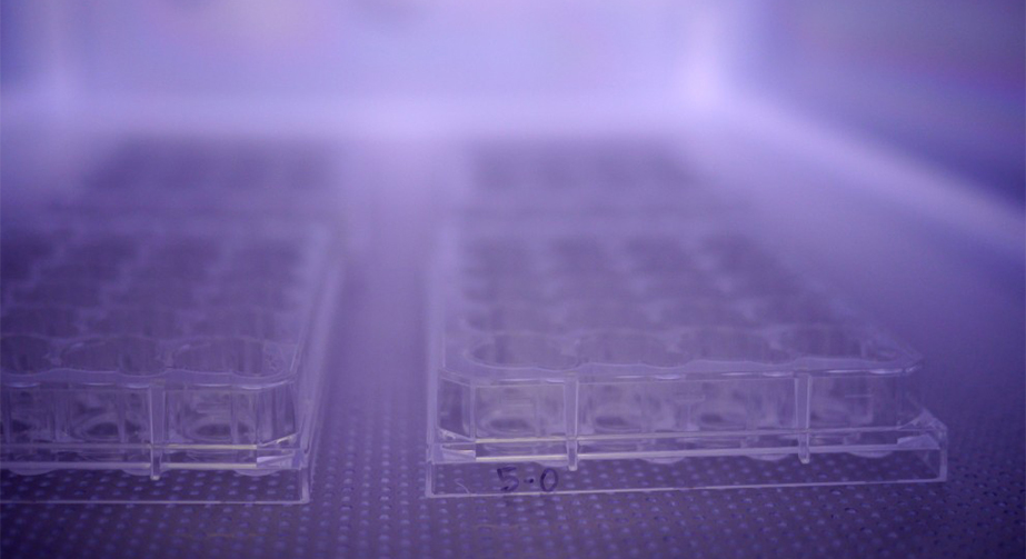 NH3氨气等离子体处理提高PS聚本乙烯表面亲水性