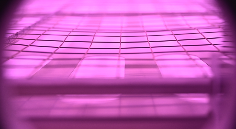 石墨烯等离子体处理提高分散性能