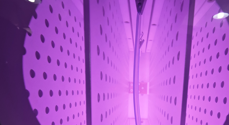 低温等离子体处理设备类型介绍